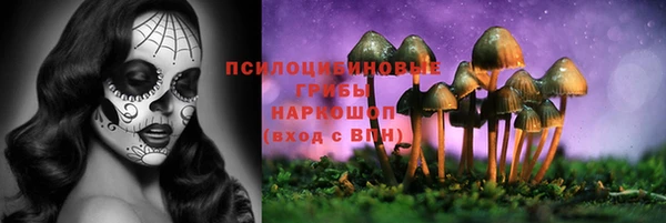 молекула духа Аркадак