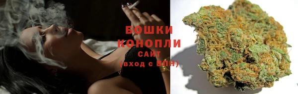 ГАЛЛЮЦИНОГЕННЫЕ ГРИБЫ Армянск