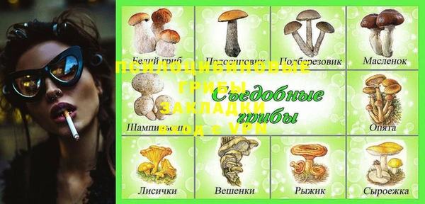 ECSTASY Балабаново