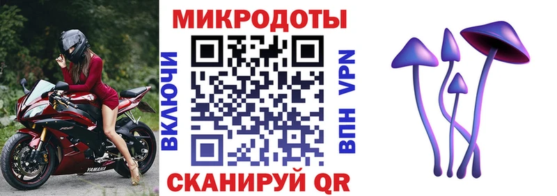 Псилоцибиновые грибы Psilocybe  купить наркоту  Катайск 
