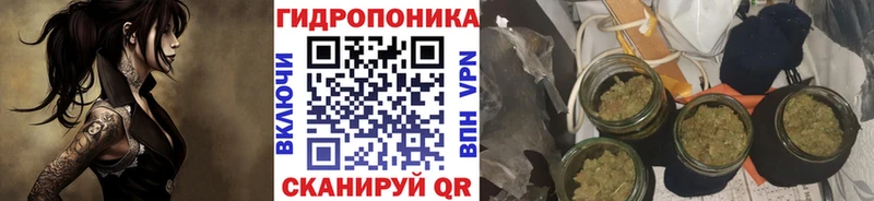 купить закладку  Катайск  Марихуана Amnesia 